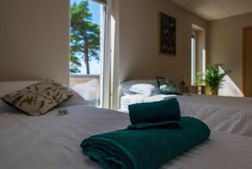 Jõesuu Guesthouse (Joesuu Guesthouse) in Turisalu