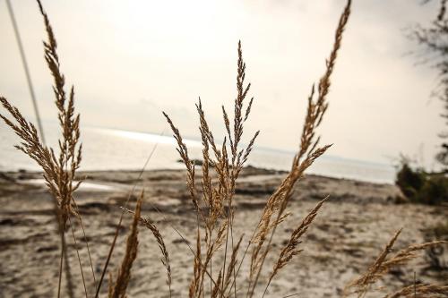 Beach, Strandpark Sierksdorf H081 in Sierksdorf