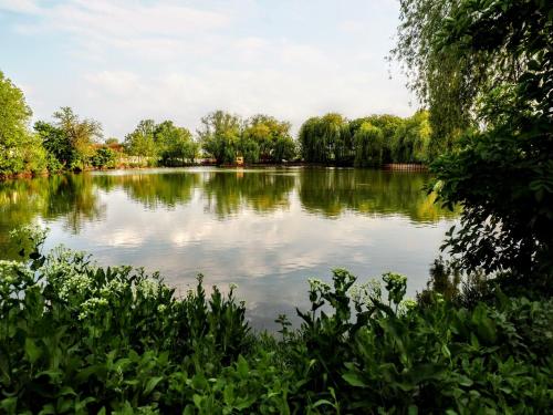 . Steimer's Zigellack Hirschhütte