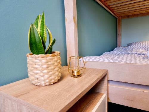 Moon Hostel - image 11