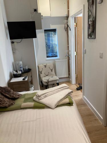 Linnaea Cottage & Rooms - Rear of Radnor Arms 4