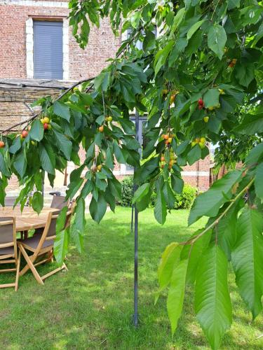 Maison de vacances à la campagne avec piscine "MAISON SIMON"