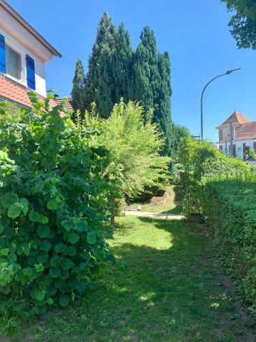 Lilo Luisa, Weinheim (foto 5)