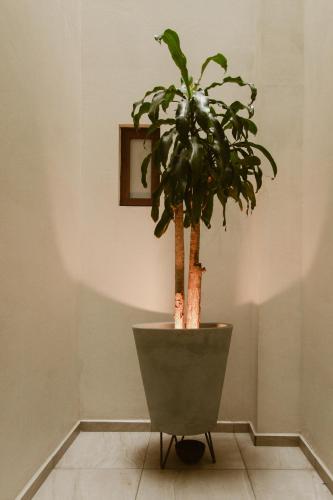 Hotel Guiva Aeropuerto