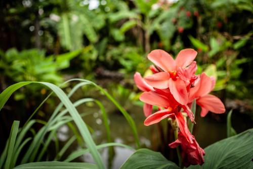 Authentic Khmer Village Resort