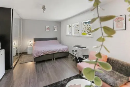 Magnifique studio cosy in Grandcour, Schweiz