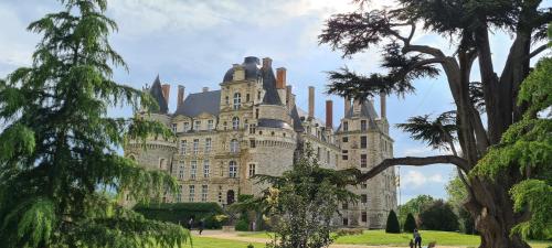 Confidences Escale à Brissac