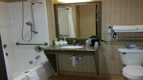 Holiday Inn Express & Suites New Buffalo, MI