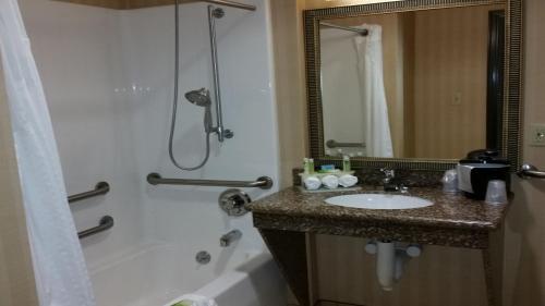 Holiday Inn Express & Suites New Buffalo, MI