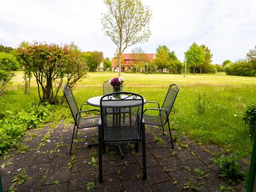 Klassik 1-Raum Appartement mit Terrasse C12