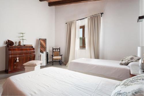 Bellpuig - main image