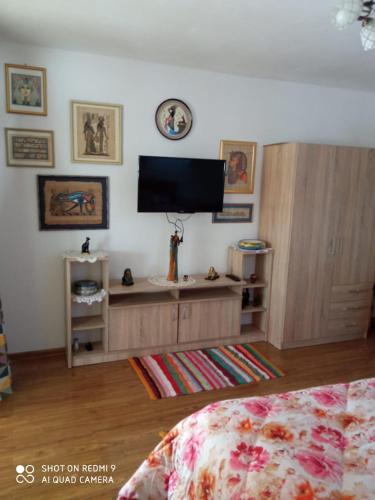 Agropensiunea Florina-Maria