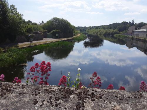 Umgebung, Matty's Pub - Apartment's in Carlow
