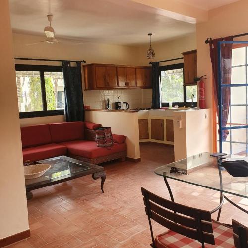 廚房, superbe appartement avec piscine, proche centre ville, restaurant, mer in 薩萊