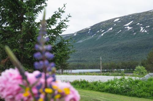 景觀, Lesjaskogsvatnet Camping in 比約利