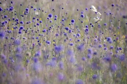 Picture of The Hideaway @ Flagham Cottage.