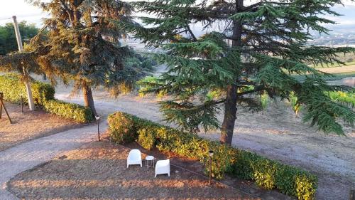 Glamping at an Agriturismo in the vineyard in Ortezzano