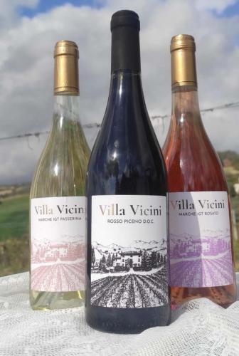  Glamping at an Agriturismo in the vineyard in Ortezzano