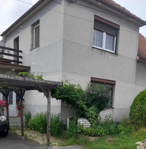 Slovácko vinné cyklo stezky ,lyžování, ochutnávky vína