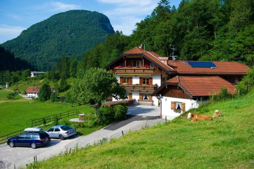 Ferienwohnungen Vogelrast - Apartment - Berchtesgadener Land