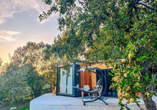 Elysian Fields - The Island Tiny House 5