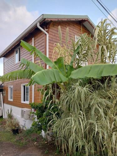 Exterior view, Le Cosy Bungalow de Lili / 5min de l'aeroport in Les Abymes