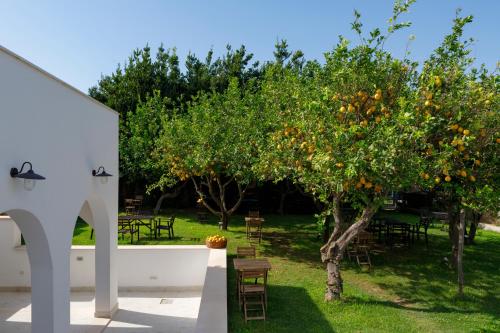 La casa sul faro - image 7