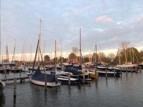 Luxe vrijstaande chalet voor gezinnen en stellen met mooie bloementuin vlakbij het water in Harich