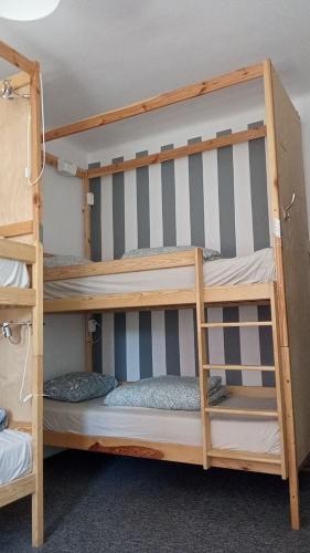 Single Bed in 4-Bed Dormitory Room