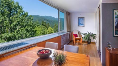 Hotel Jezero - main image