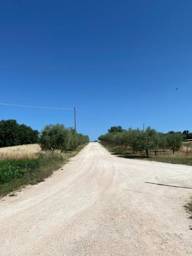 Casa vacanze fra gli ulivi