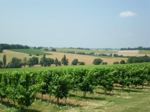 Château de Fourcès