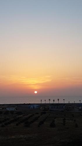 Apartaments Aphrodite photo 3