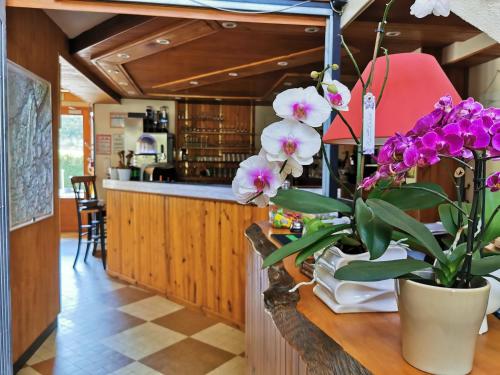 Hotel Au Feu De Bois - image 10