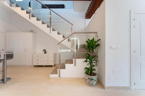 Penthouse Duplex 4 PAX by costablancarent - image 2