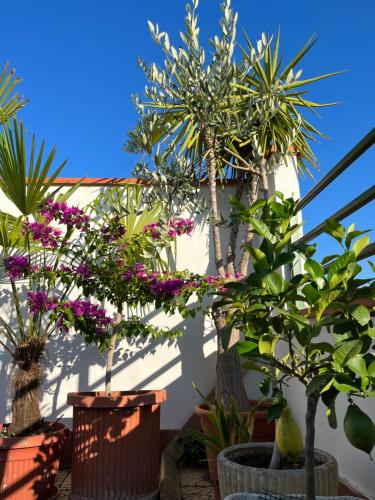 HOTEL ZUCCONI – Montecatini Terme, IA