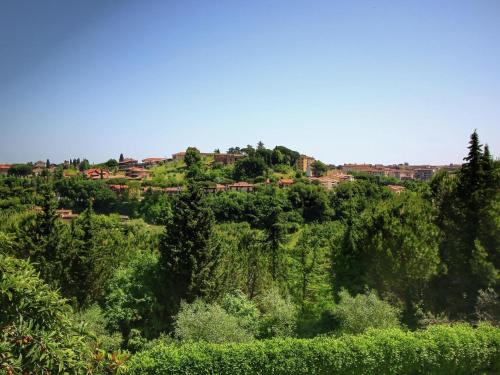 Comfortable Mansion in Siena with Swimming Pool