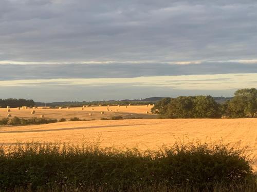 Bankfoot Farm Glamping 3