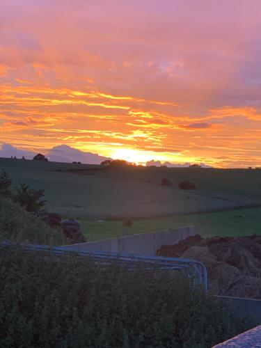 Bankfoot Farm Glamping 3