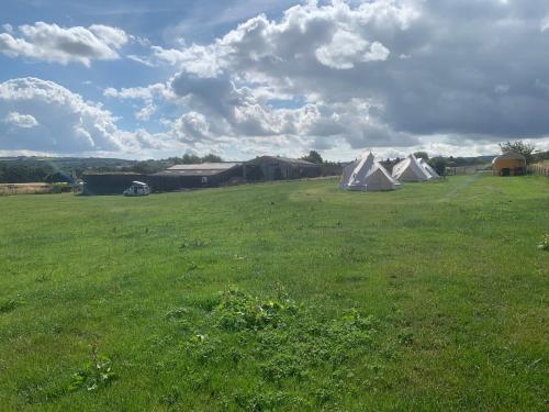 Bankfoot Farm Glamping 3