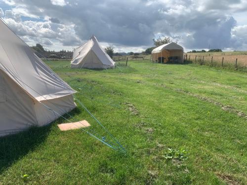 Bankfoot Farm Glamping 3