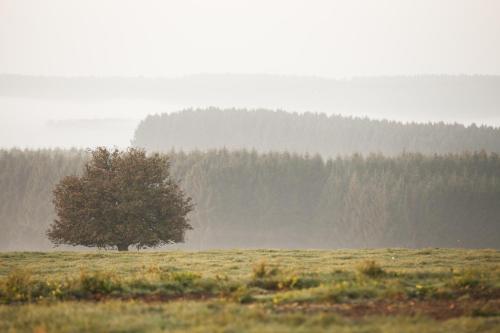 皮尔罗伊贝赫尔B&B酒店 皮尔罗伊贝赫尔B&B酒店