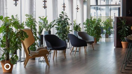 Midgardur by Center Hotels - image 2