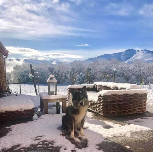 Maison chulubitenia chambre d'hôte Irouléguy