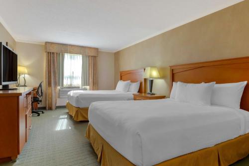 Queen Room with Two Queen Beds