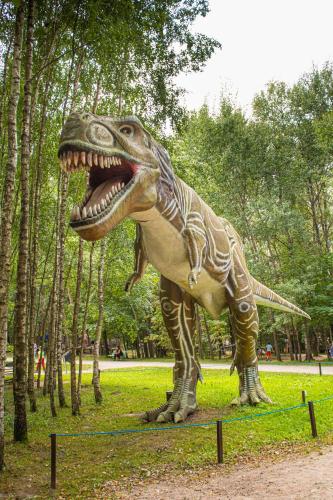 AKIS namelis medyje- Dinosaur Park