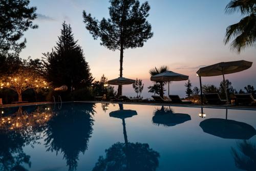 Olympos Mountain Lodge - image 13