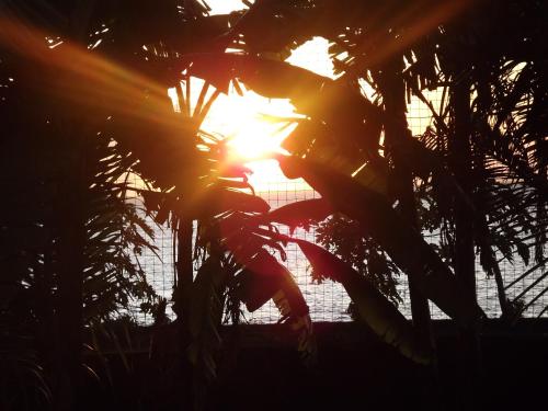 Nas proximidades, Hôtel La Grillade (Hotel La Grillade) in Moroni