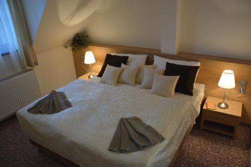 Hotel Zamek Velka Bystrice in Velka Bystrice