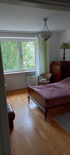miły pokój niedaleko centrum i starego miasta, Varšava (fotografie 9)